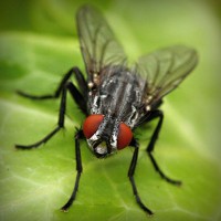 /album/a-ludmila-ori-kozmetika-/photolia-a01-jpg/