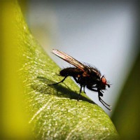 /album/a-ludmila-ori-kozmetika-/photolia-a04-jpg/