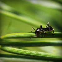 /album/a-ludmila-ori-kozmetika-/photolia-a05-jpg/