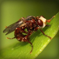 /album/a-ludmila-ori-kozmetika-/photolia-a06-jpg/