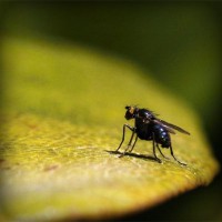 /album/a-ludmila-ori-kozmetika-/photolia-a07-jpg/