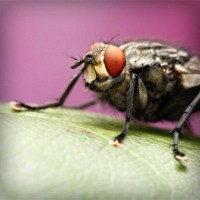 /album/a-ludmila-ori-kozmetika-/photolia-a08-jpg/